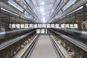 【疫情地区鸡场如何卖鸡蛋,蛋鸡出售渠道】