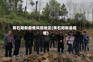 黄石阳新疫情风险地区(黄石阳新县疫情)