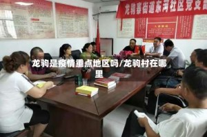 龙驹是疫情重点地区吗/龙驹村在哪里