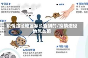 疫情路径地区怎么查到的/疫情途径地怎么填