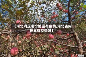 【河北内丘哪个地区有疫情,河北省内丘县有疫情吗】