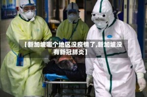 【新加坡哪个地区没疫情了,新加坡没有新冠肺炎】