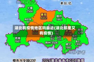 湖北有疫情地区吗最近(湖北那里又有疫情)