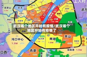 武汉哪个地区开始有疫情/武汉哪个地区开始有疫情了