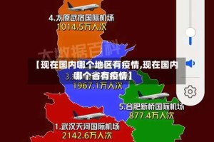 【现在国内哪个地区有疫情,现在国内哪个省有疫情】