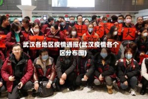 武汉各地区疫情通报(武汉疫情各个区分布图)