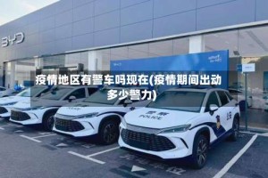 疫情地区有警车吗现在(疫情期间出动多少警力)