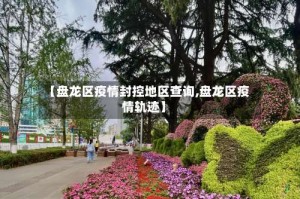 【盘龙区疫情封控地区查询,盘龙区疫情轨迹】