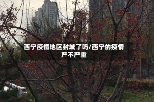 西宁疫情地区封城了吗/西宁的疫情严不严重