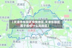 【天津市东丽区疫情地区,天津东丽区属于疫情什么风险区】