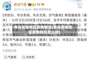 青岛其他地区疫情情况(青岛其他地区疫情情况怎么样)