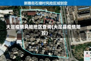 大足疫情风险地区查询(大足县疫情防控)