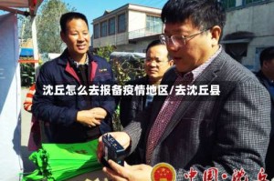 沈丘怎么去报备疫情地区/去沈丘县