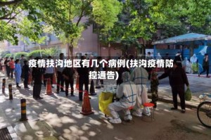 疫情扶沟地区有几个病例(扶沟疫情防控通告)