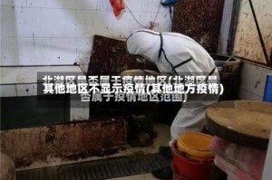 其他地区不显示疫情(其他地方疫情)