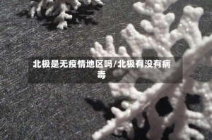 北极是无疫情地区吗/北极有没有病毒