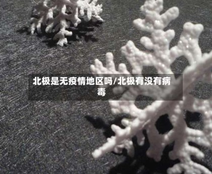 北极是无疫情地区吗/北极有没有病毒