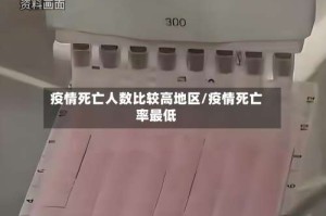 疫情死亡人数比较高地区/疫情死亡率最低