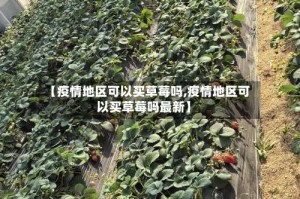【疫情地区可以买草莓吗,疫情地区可以买草莓吗最新】