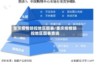重庆疫情防控地区图表/重庆疫情防控地区图表查询