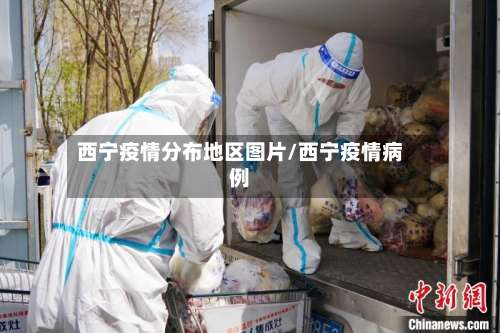西宁疫情分布地区图片/西宁疫情病例-第2张图片
