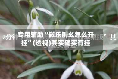 专用辅助“微乐刨幺怎么开挂	”(透视)其实确实有挂-第1张图片