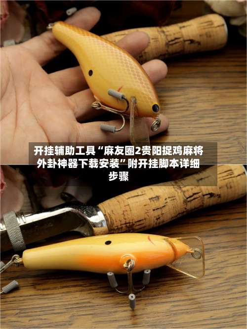 开挂辅助工具“麻友圈2贵阳捉鸡麻将外卦神器下载安装”附开挂脚本详细步骤-第2张图片