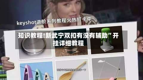 知识教程!新武宁双扣有没有辅助”开挂详细教程-第2张图片