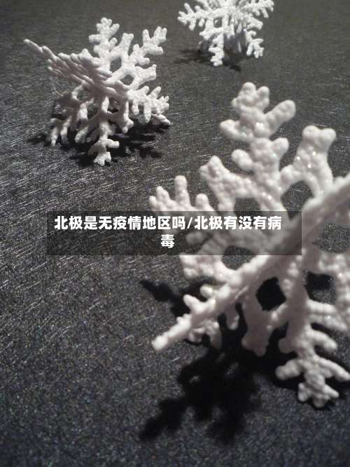 北极是无疫情地区吗/北极有没有病毒-第1张图片