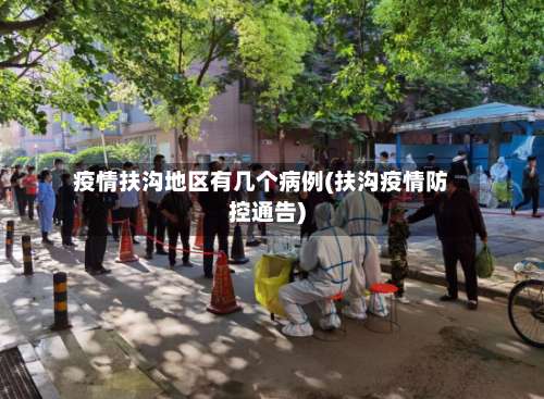 疫情扶沟地区有几个病例(扶沟疫情防控通告)-第1张图片