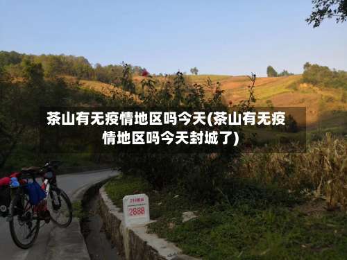 茶山有无疫情地区吗今天(茶山有无疫情地区吗今天封城了)-第2张图片