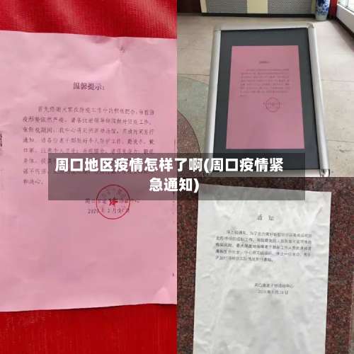 周口地区疫情怎样了啊(周口疫情紧急通知)-第2张图片