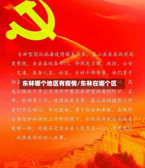 东林哪个地区有疫情/东林在哪个区-第3张图片