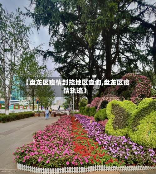 【盘龙区疫情封控地区查询,盘龙区疫情轨迹】-第1张图片