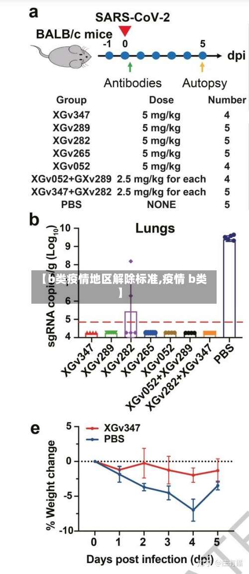 【b类疫情地区解除标准,疫情 b类】-第3张图片