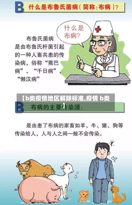 【b类疫情地区解除标准,疫情 b类】-第2张图片