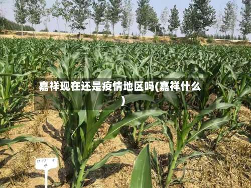 嘉祥现在还是疫情地区吗(嘉祥什么)-第3张图片