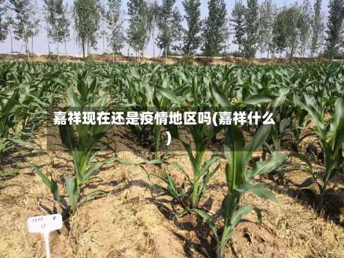 嘉祥现在还是疫情地区吗(嘉祥什么)-第2张图片