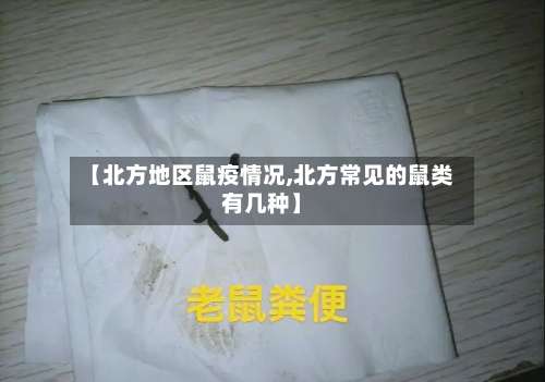 【北方地区鼠疫情况,北方常见的鼠类有几种】-第1张图片