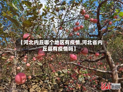 【河北内丘哪个地区有疫情,河北省内丘县有疫情吗】-第1张图片