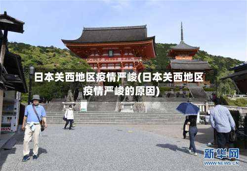 日本关西地区疫情严峻(日本关西地区疫情严峻的原因)-第2张图片
