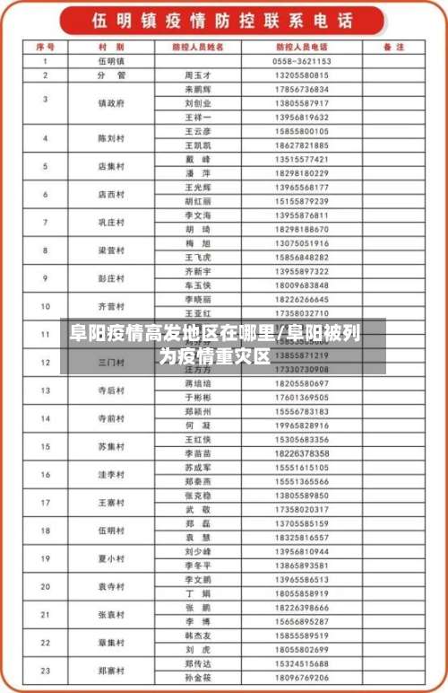 阜阳疫情高发地区在哪里/阜阳被列为疫情重灾区-第2张图片