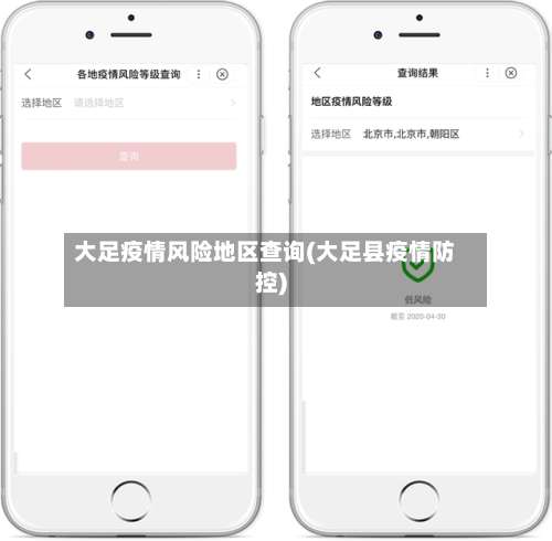 大足疫情风险地区查询(大足县疫情防控)-第3张图片