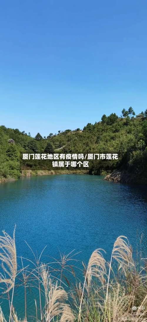 厦门莲花地区有疫情吗/厦门市莲花镇属于哪个区-第2张图片