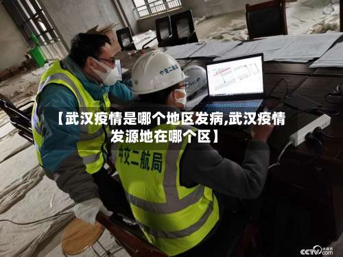 【武汉疫情是哪个地区发病,武汉疫情发源地在哪个区】-第3张图片