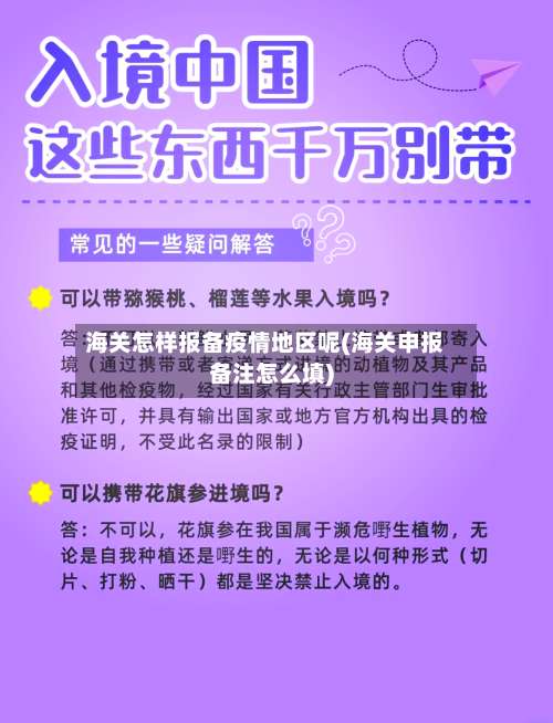 海关怎样报备疫情地区呢(海关申报备注怎么填)-第1张图片