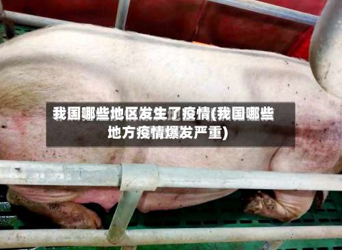 我国哪些地区发生了疫情(我国哪些地方疫情爆发严重)-第3张图片