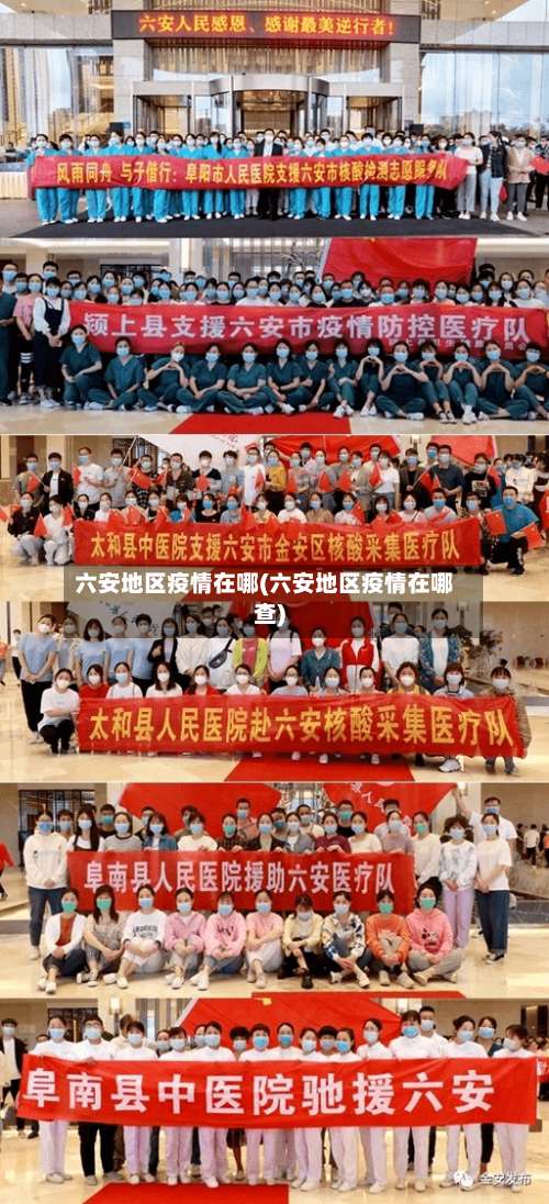 六安地区疫情在哪(六安地区疫情在哪查)-第2张图片