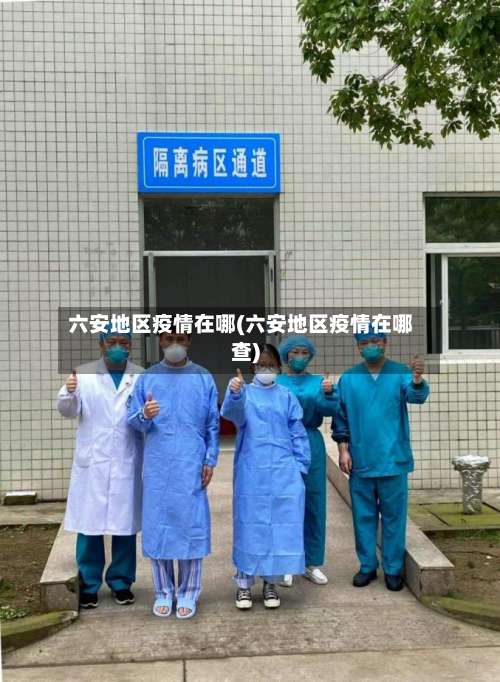 六安地区疫情在哪(六安地区疫情在哪查)-第1张图片
