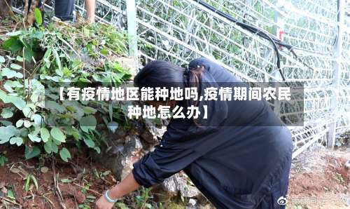 【有疫情地区能种地吗,疫情期间农民种地怎么办】-第1张图片
